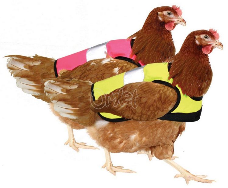 Doppelpack Warnweste für Hühner - Pink und Gelb Amazon