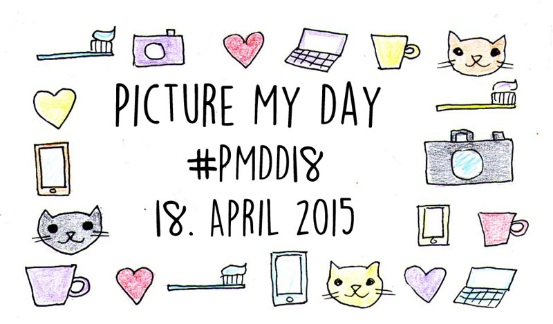 Logo #pmdd18