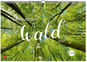 Sehnsuchtsort Wald Kalender 2023 Delius Klasing Verlag
