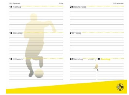 teNeues Schülerkalender 2012 2013 Borussia Dortmund BVB Wochenplan Wochenübersicht Planer Schulplaner